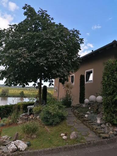 Apartamento Haus Der Weinkoenigin Kristina Piesport Exterior foto